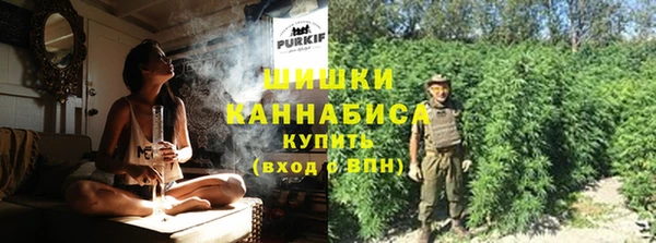 ГАЛЛЮЦИНОГЕННЫЕ ГРИБЫ Коряжма