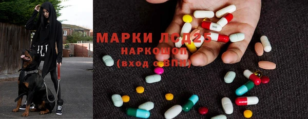 ГАЛЛЮЦИНОГЕННЫЕ ГРИБЫ Коряжма