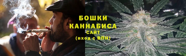 ГАЛЛЮЦИНОГЕННЫЕ ГРИБЫ Коряжма