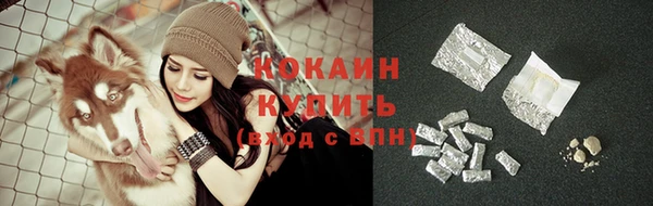 ГАЛЛЮЦИНОГЕННЫЕ ГРИБЫ Коряжма